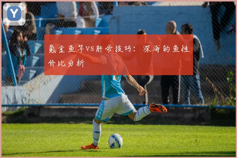 氪金鱼竿vs肝帝技巧：深海钓鱼性价比分析