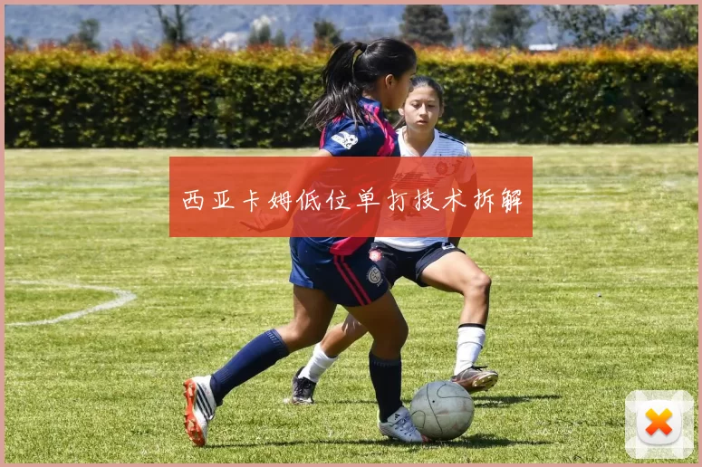 西亚卡姆低位单打技术拆解