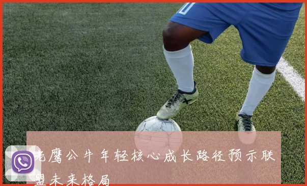 老鹰公牛年轻核心成长路径预示联盟未来格局