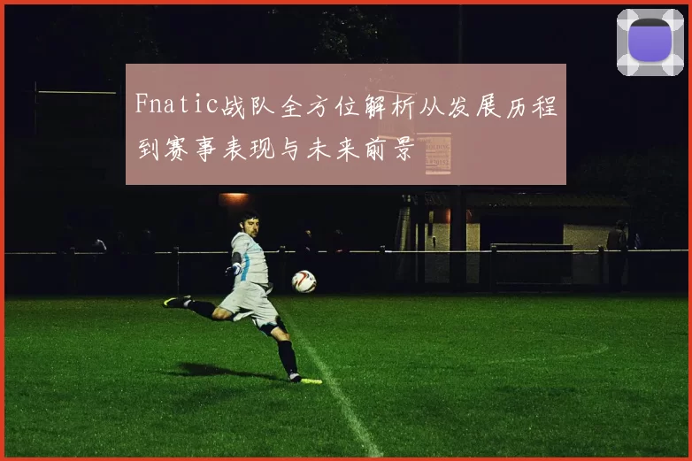 Fnatic战队全方位解析从发展历程到赛事表现与未来前景