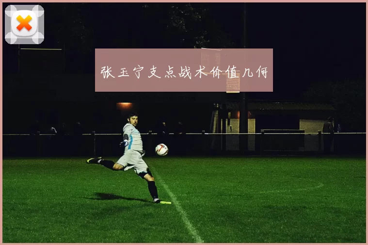 张玉宁支点战术价值几何