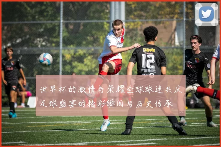 世界杯的激情与荣耀全球球迷共庆足球盛宴的精彩瞬间与历史传承