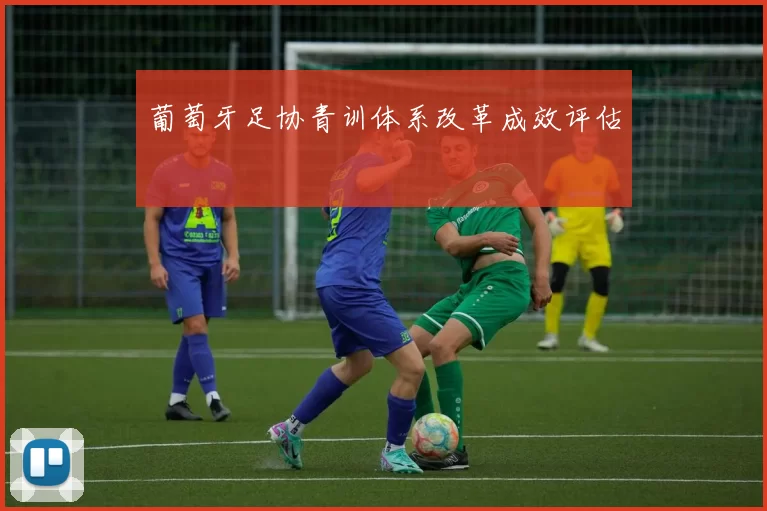 葡萄牙足协青训体系改革成效评估
